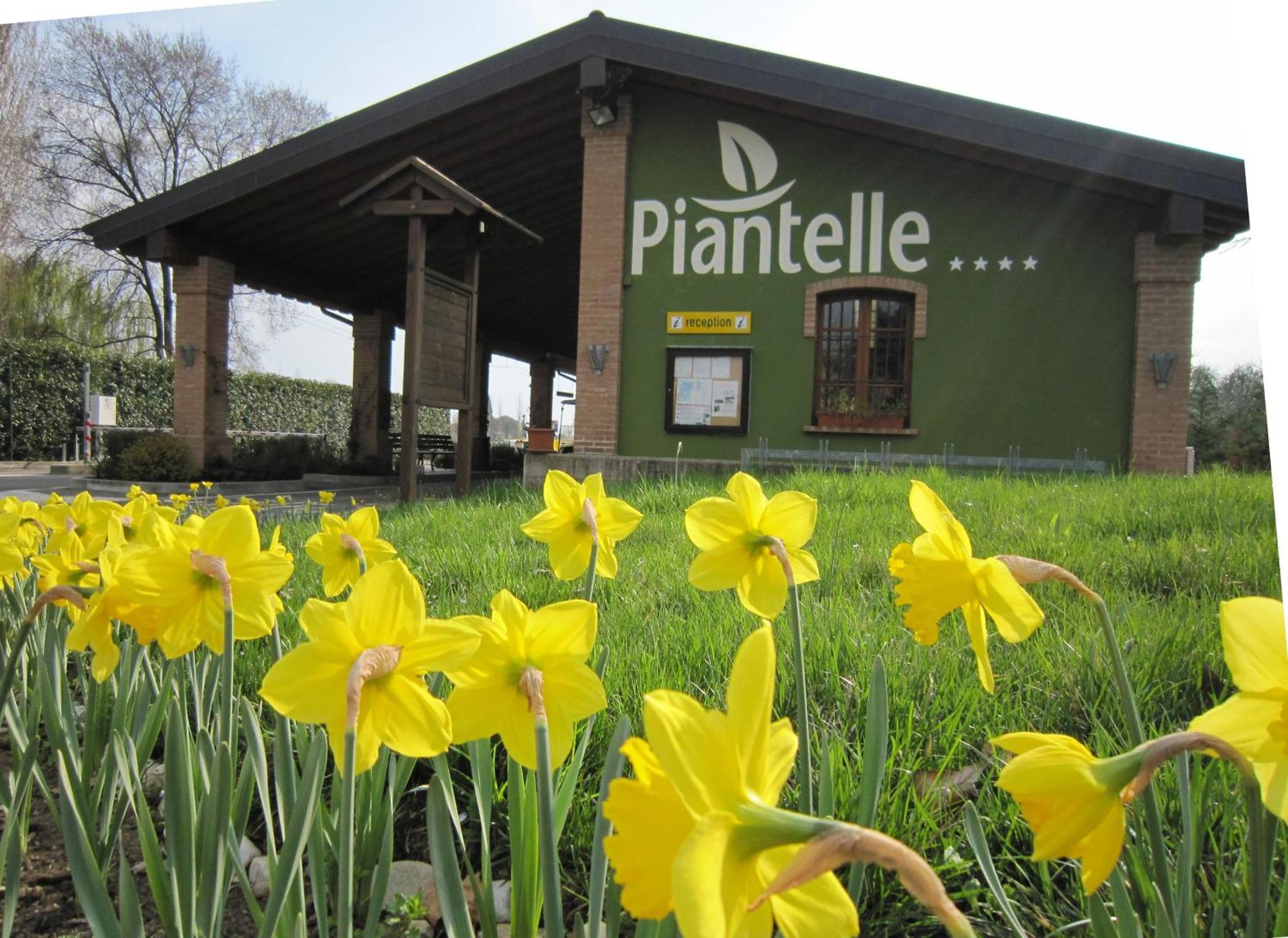 Camping Piantelle Moniga del Garda Exterior foto